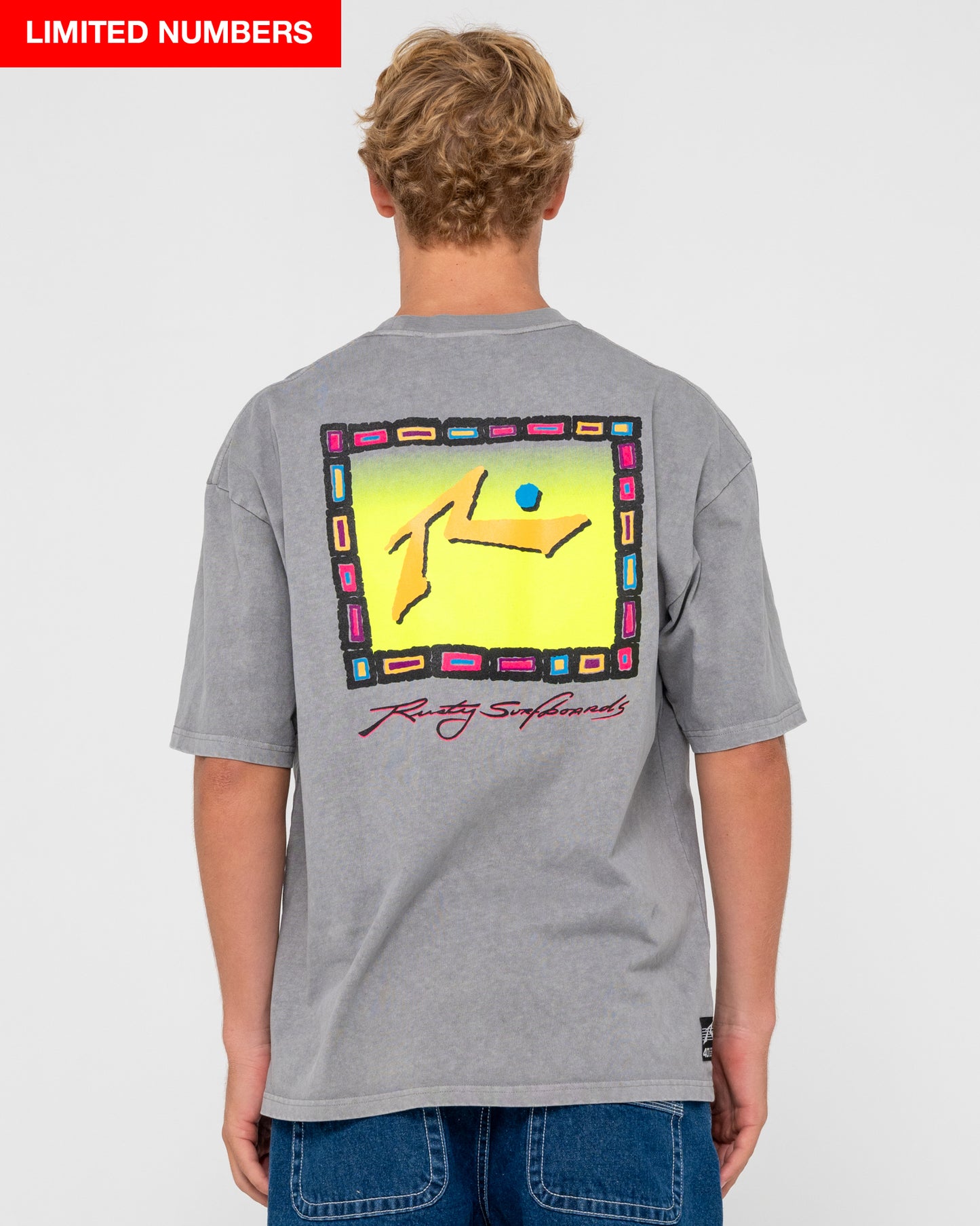 Remera Snow Process Grey