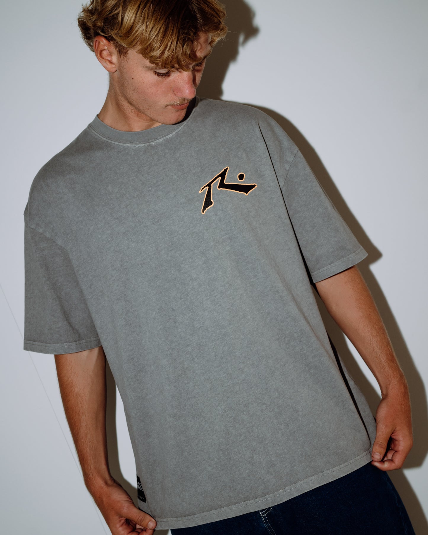 Remera Snow Process Grey