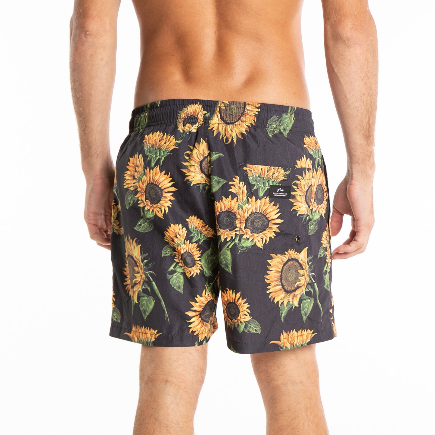Short Helianthus Black