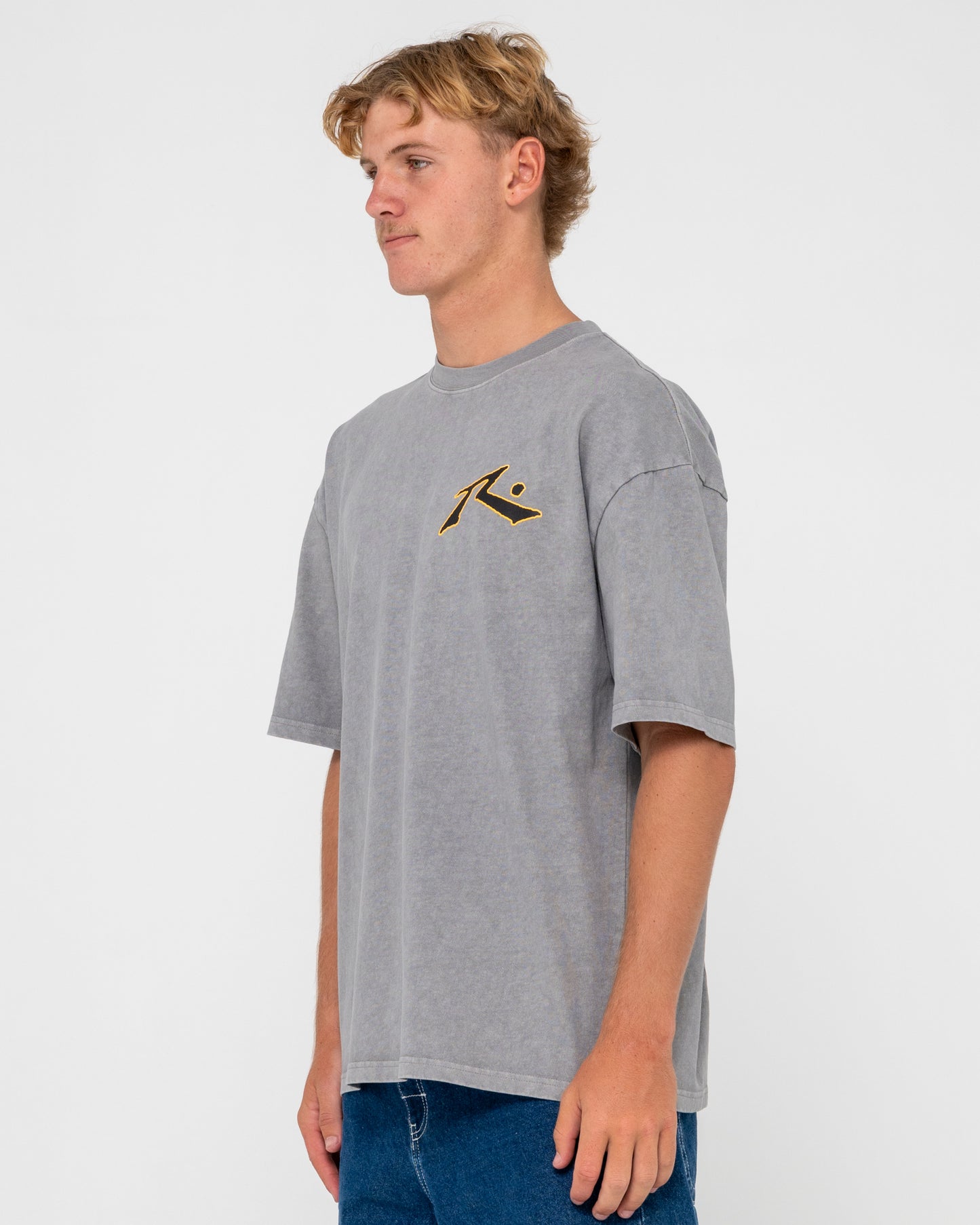 Remera Snow Process Grey