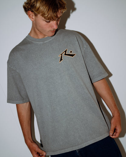 Remera Snow Process Grey